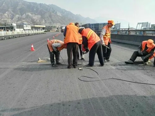 平阳道路桥梁病害治理